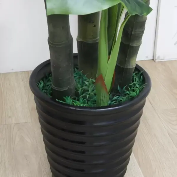 Planta Artificiala Banan japonez, 4 Crengi, fara Ghiveci 180cm Verde - imagine 3