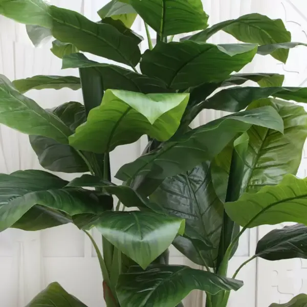 Planta Artificiala Banan japonez, 4 Crengi, fara Ghiveci 180cm Verde - imagine 4