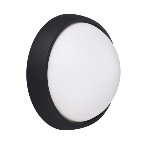 Aplica Exterior Rony, 12W, Negru, 6400K, lumina rece - imagine 2