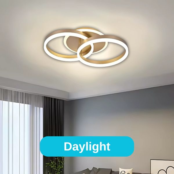 Lustra LED cu telecomanda RIGA LILITH 55W, 2 Cercuri, lumina Rece/Calda/Neutra, Dimabila, Auriu Lucios - imagine 3