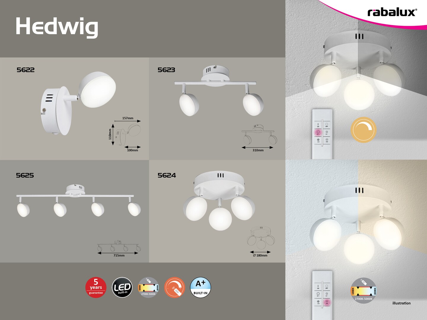 Spoturi - Hedwig - imagine 10